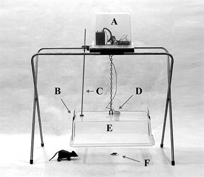 Unbiased Sampling for Rodents and Other Small Mammals: How to Overcome Neophobia Through Use of an Electronic-Triggered Live Trap—A Preliminary Test